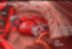 MedLegal_(1920x1292).jpg