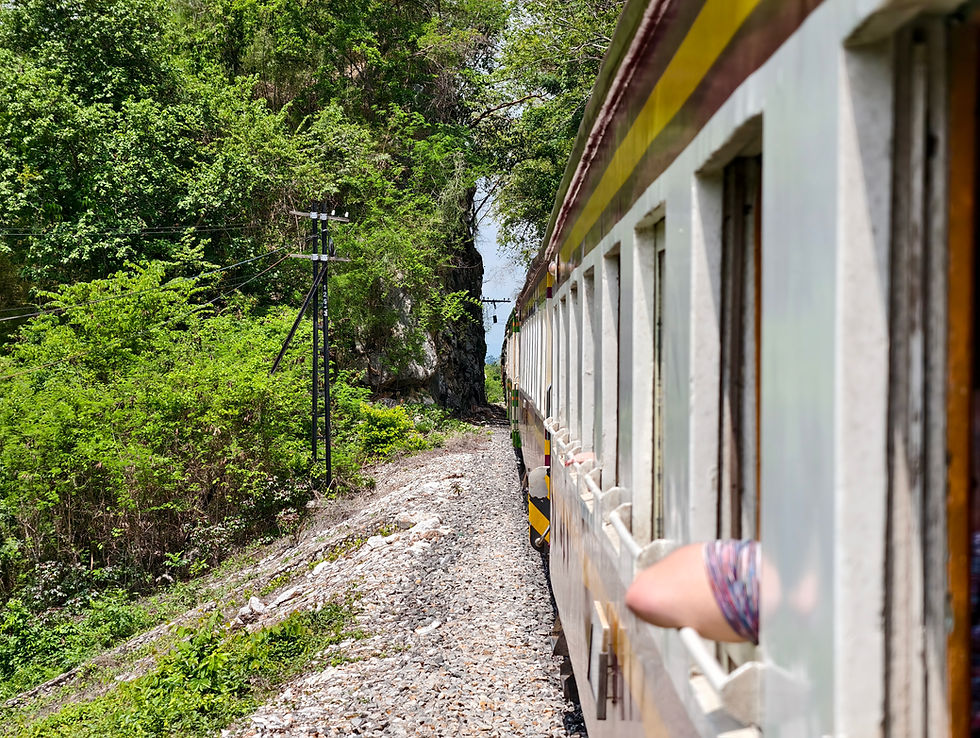 Train moving alongside lush green trees, passengers' arms out windows, blue sky visible, creating a vibrant, adventurous mood.