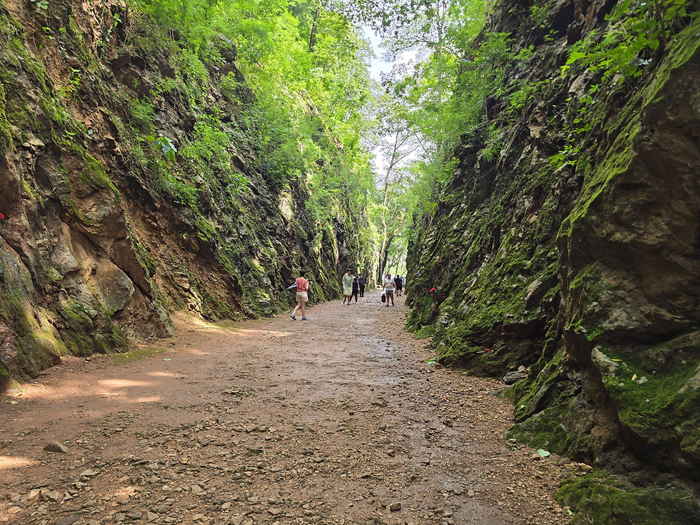 Trail with people walking between mossy, rocky cliffs under a lush green canopy. Natural, serene atmosphere on a sunny day.