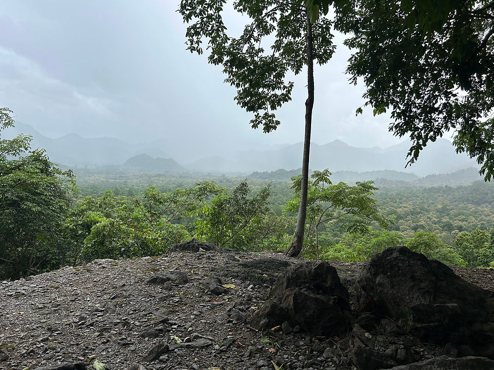 Foggy landscape view with lush green trees and distant misty mountains under a cloudy sky. Rocky foreground, creating a serene mood.