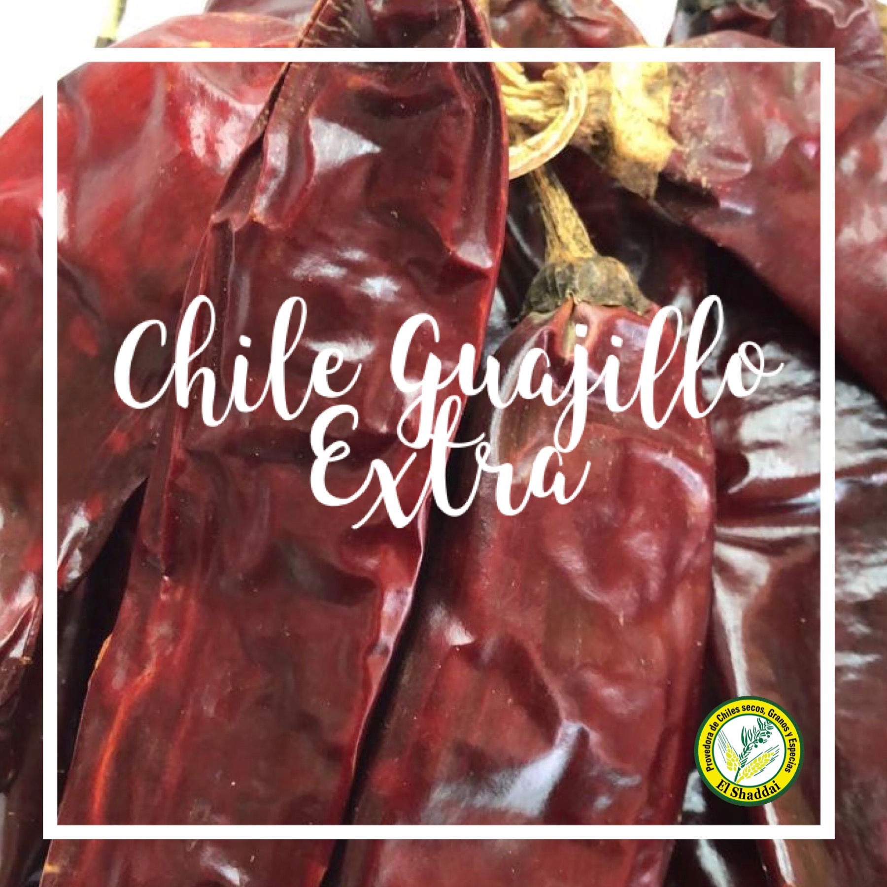Chile Guajillo Extra