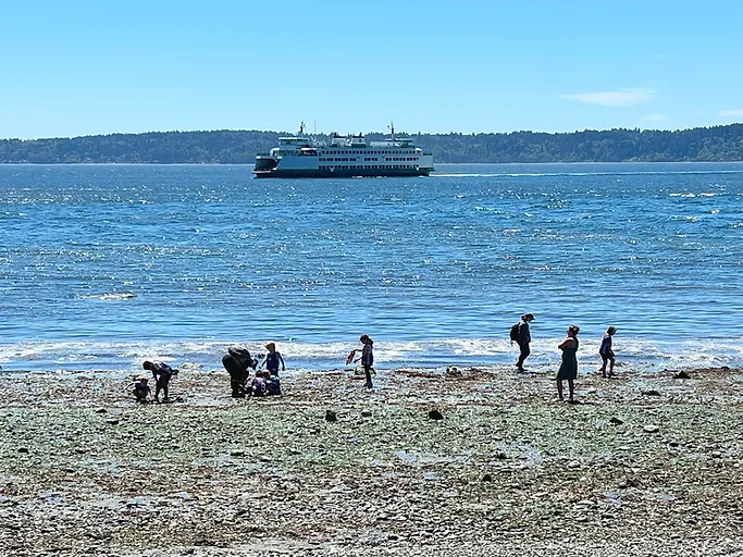 SummerCamp_LowTide-WEB.webp