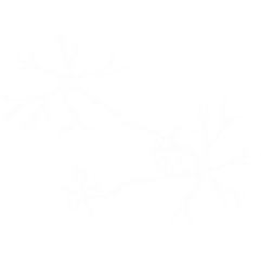 neuron