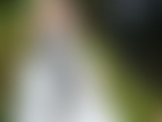 Rien ne vaut l'oeil d'un photographe...