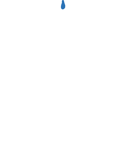 giphy (1).gif