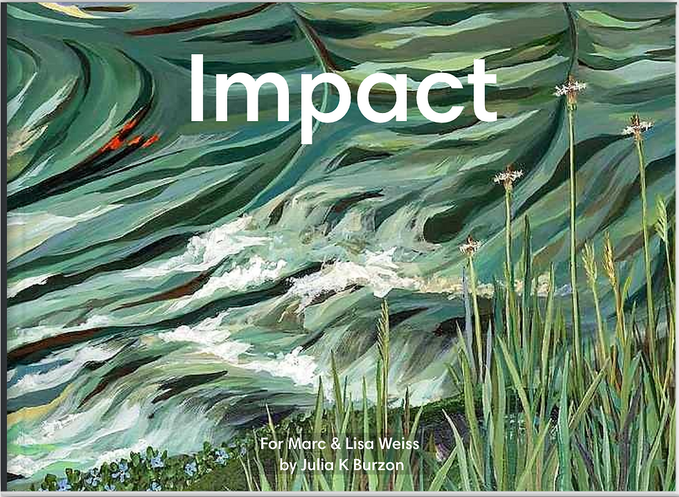 IMPACT softcover book 1
