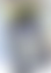 Maptech® ChartNavigator® U.S. Discus Chart