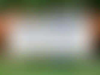 4 Equine Photographer Marketing Strategies with Shelley Paulson