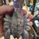 Thumbnail: Ocean Jasper Scorpion 150mm x 80mm