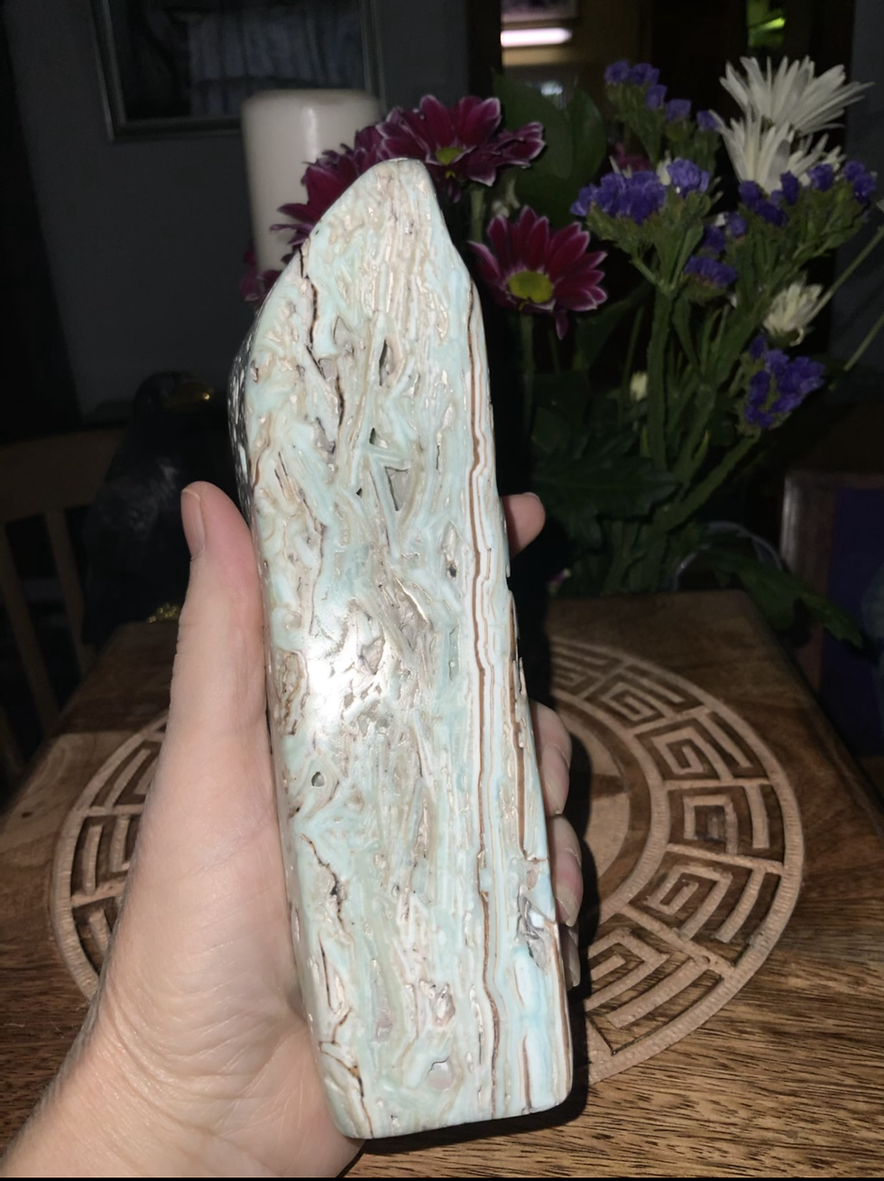 Thumbnail: Caribbean Calcite Freeform