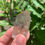 Thumbnail: Smoky Quartz Polished Point