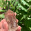 Thumbnail: Smoky Quartz Polished Point