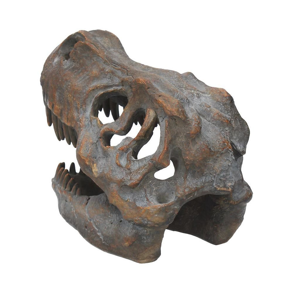 Thumbnail: Tyrannosaurus Rex Skull Freestanding 16cm