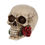 Thumbnail: Rose from the Dead 15cm