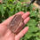 Thumbnail: Smoky Quartz Polished Point