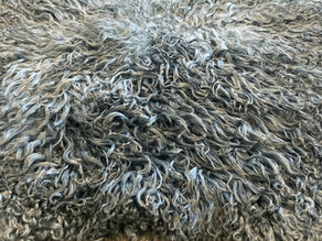 close-up Gotland pelt