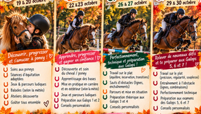 Stages d’équitation – Vacances d’Automne 2026 au Centre Équestre de Dole 🍂🐴