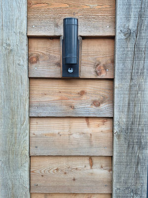 The external lighting enhances the natural texture of the larch cladding.