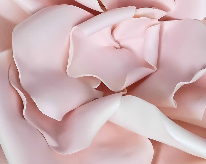 Close up image of a flower