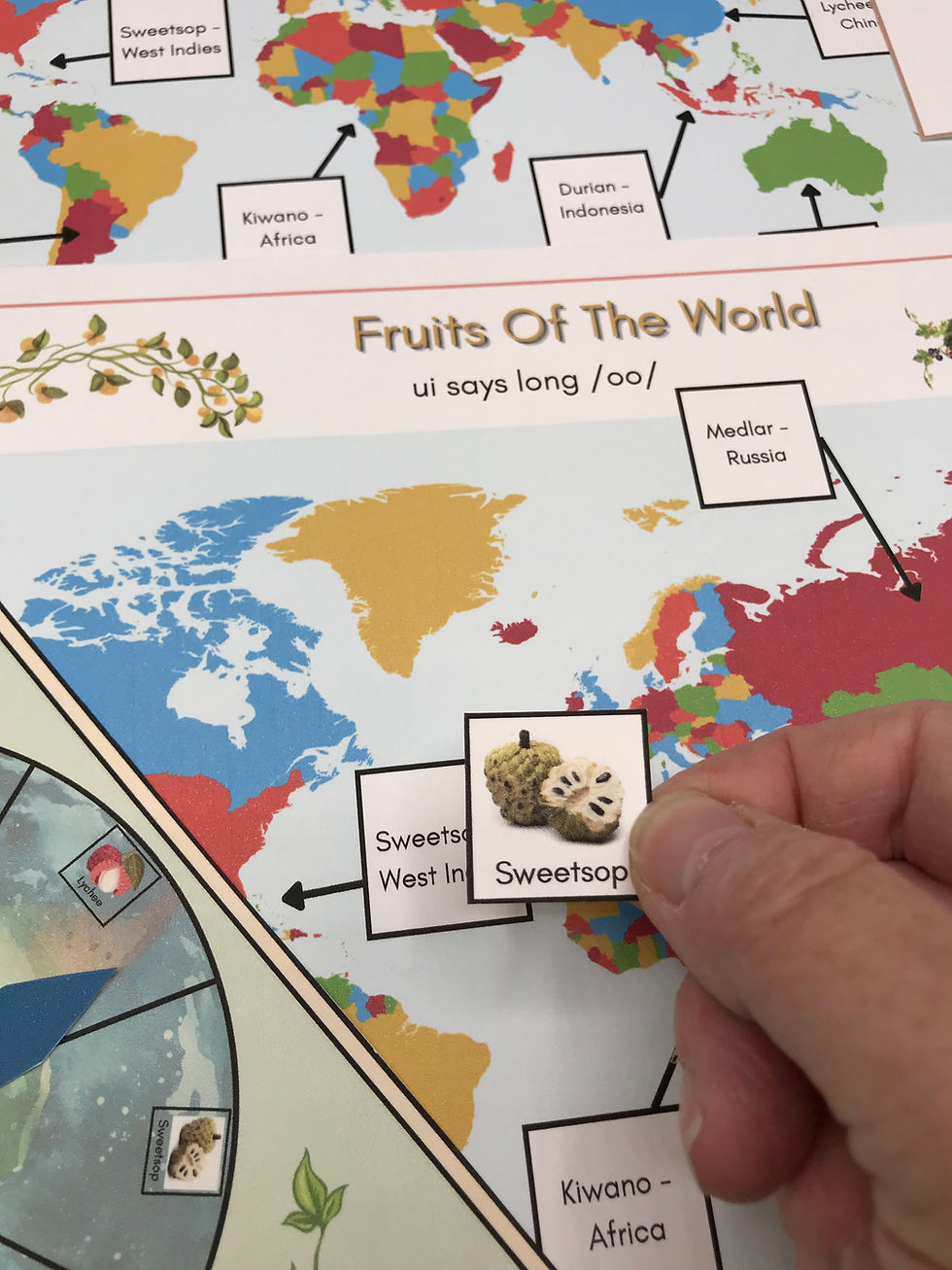 Thumbnail: Fruits of the World  ui