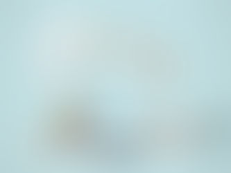 Etapas do processamento do Visto de Nômade Digital