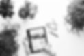 shopping bg.jpg