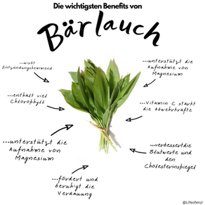 Lasset die Bärlauch Saison beginnen