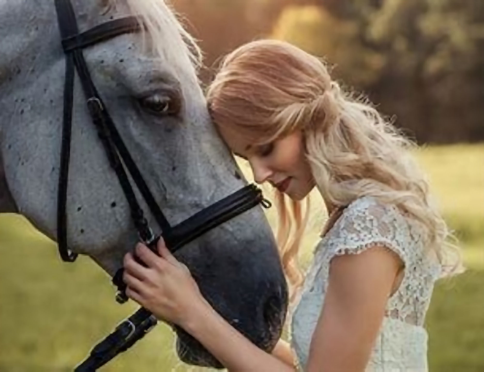Rebuilding Trust With Your Horse — A Guided Meditation for Riders