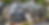 header_01.png