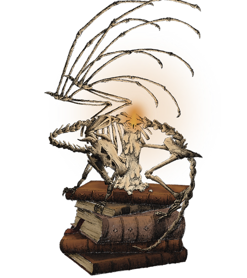 Untitled_Artwork 26.png