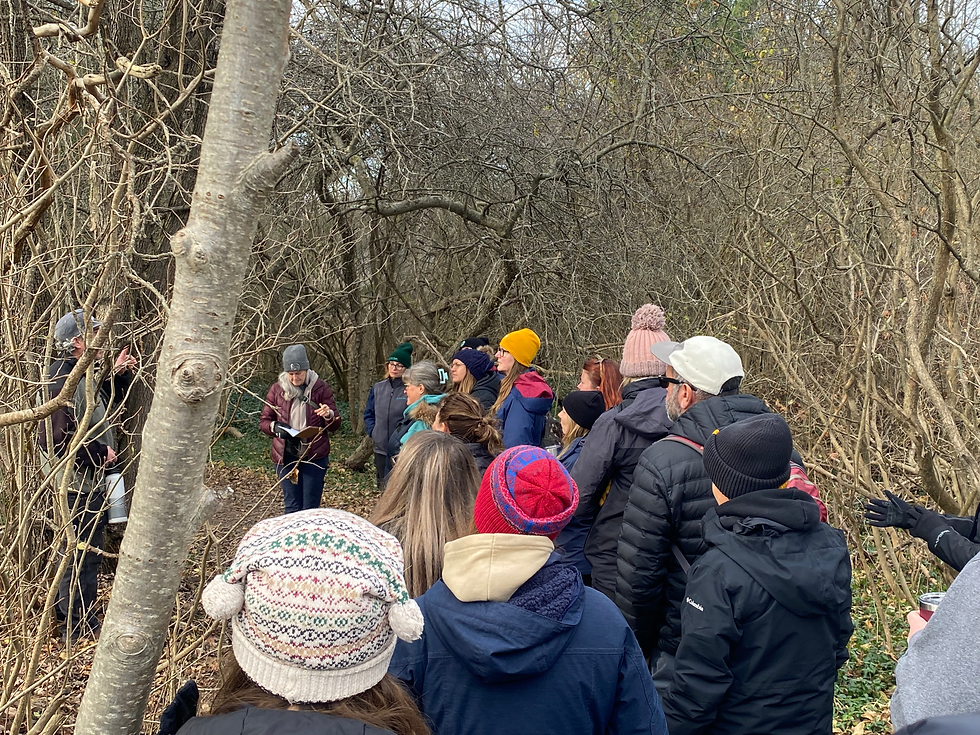 20251120_164009149_iOS