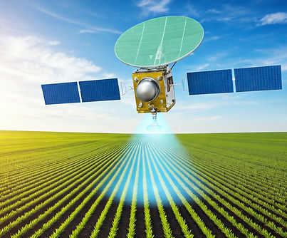 Crop Growth_edited.jpg