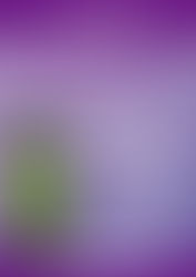 Já imaginou seu celular carregando em pouquíssimos minutos?