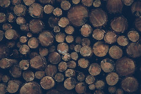 Baum-Abbau