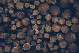 Deforestation