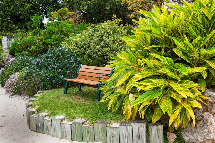 Swanston PM Garden Services