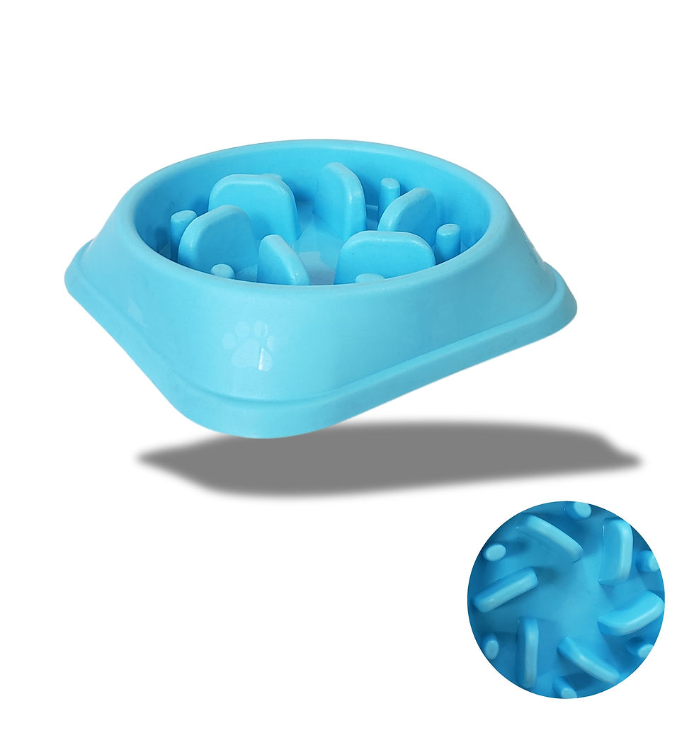 COMEDERO PARA MASCOTA ANTI ESTRES