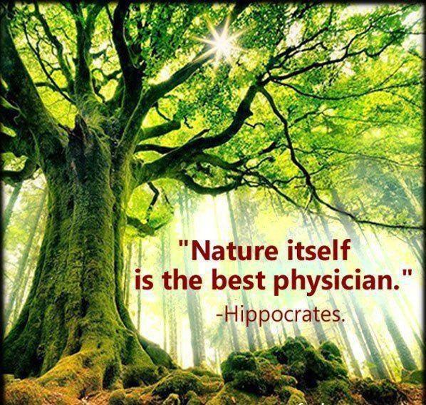 Nature