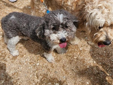 1ACC09BF-18EF-449A-9B0C-62D7A5B1CCD5 2_edited.png