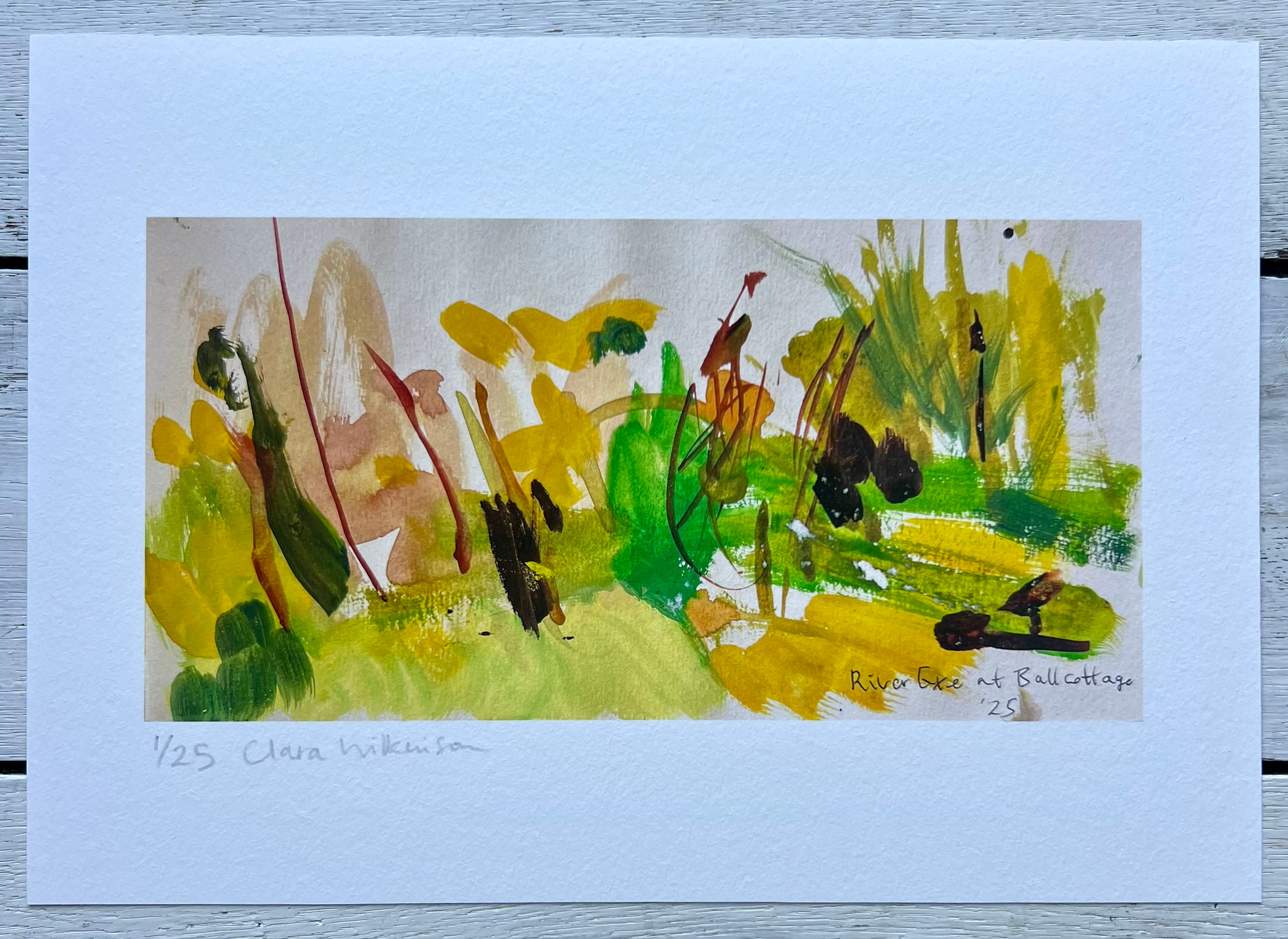 The River Exe at Ball Cottage