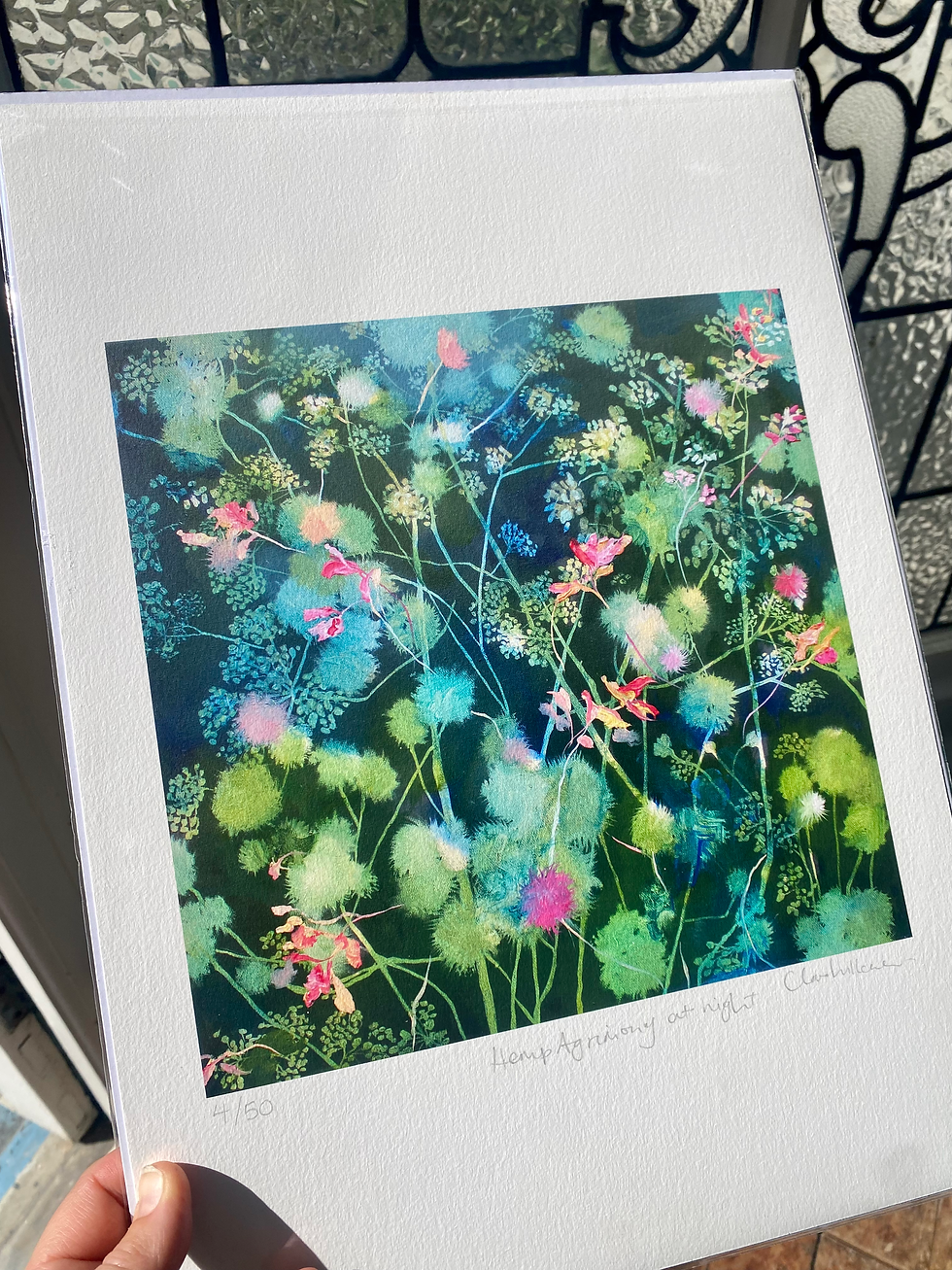 Thumbnail: Hemp Agrimony at night