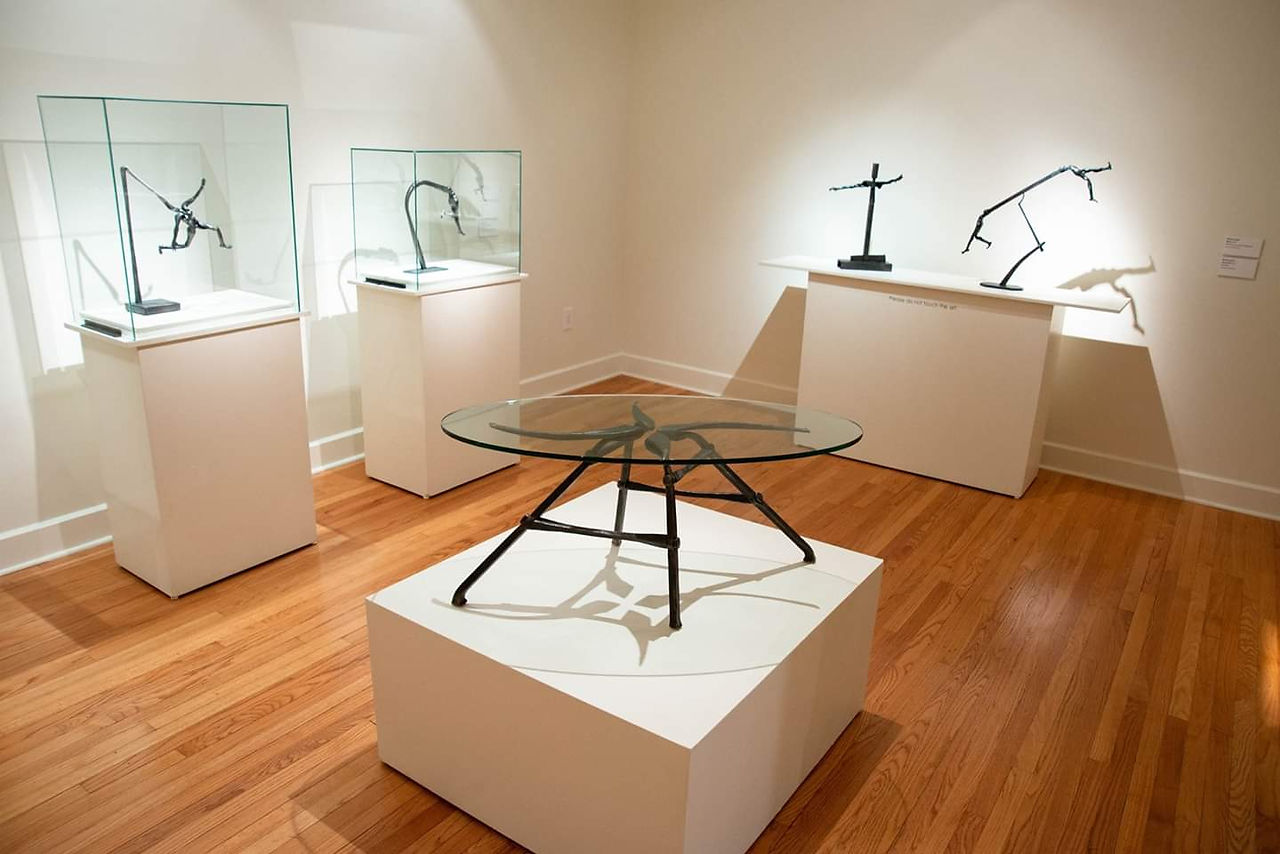 "Tributaries: Monica Coyne" exhibition