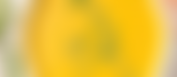 Lentil Soup ( vegan / vegetarian )