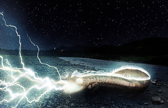 pitopotamo - Copia.jpg