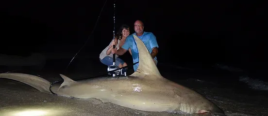 blacktip fishing gear