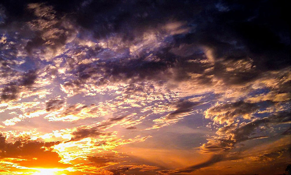 img_20160312_180538_275_25742508015_o