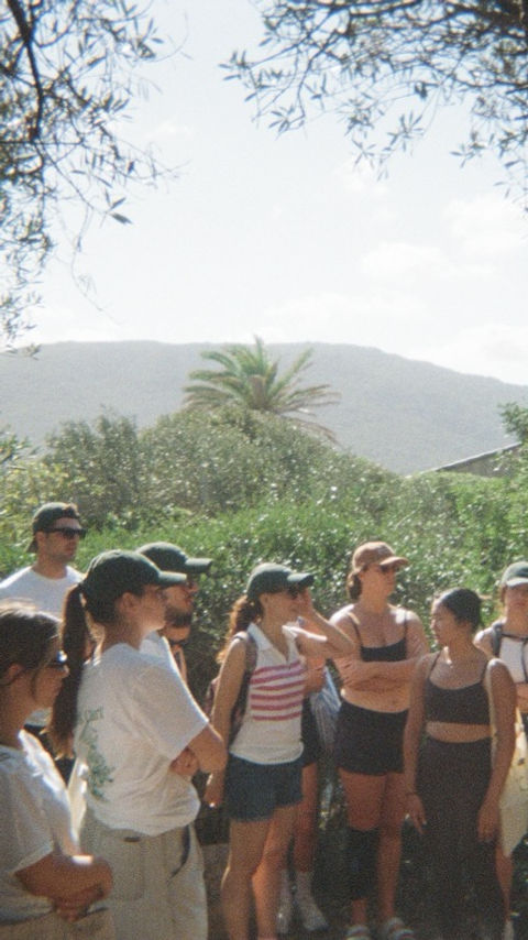 Groupe de personnes dans une forêt. Arrière-plan avec montagne et verdure.