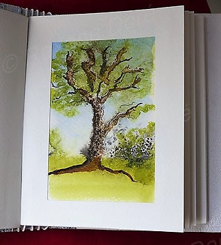 P1160559 (Copier) (2)