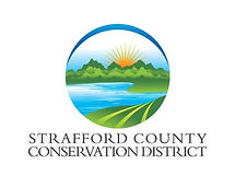 stafford logo .jpg
