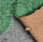 concurso de imagem(2).png
